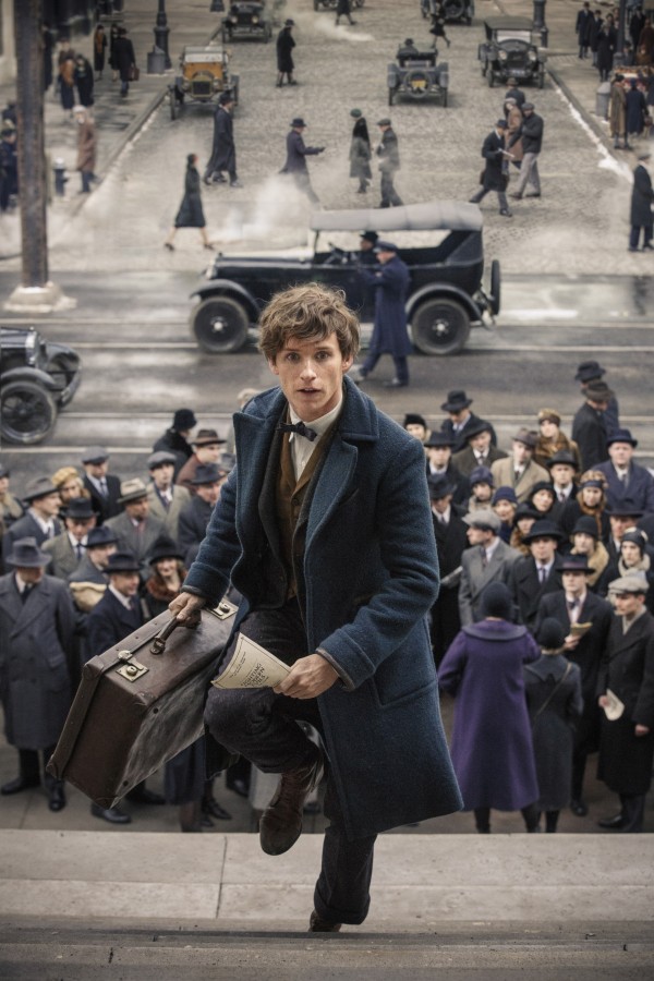 Eddie Redmayne in Fantastic Beasts (Warner Bros)