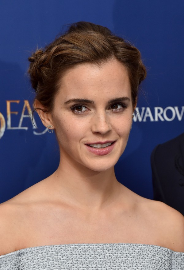 Celebrity Porn Emma Watson - Emma Watson's leaked photos could have been stolen by hackers, experts say  - The Irish News