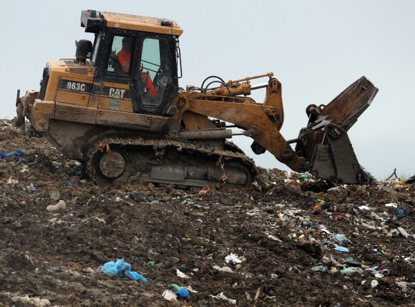 Scientists have just figured out wax worms eat plastic and it has ...