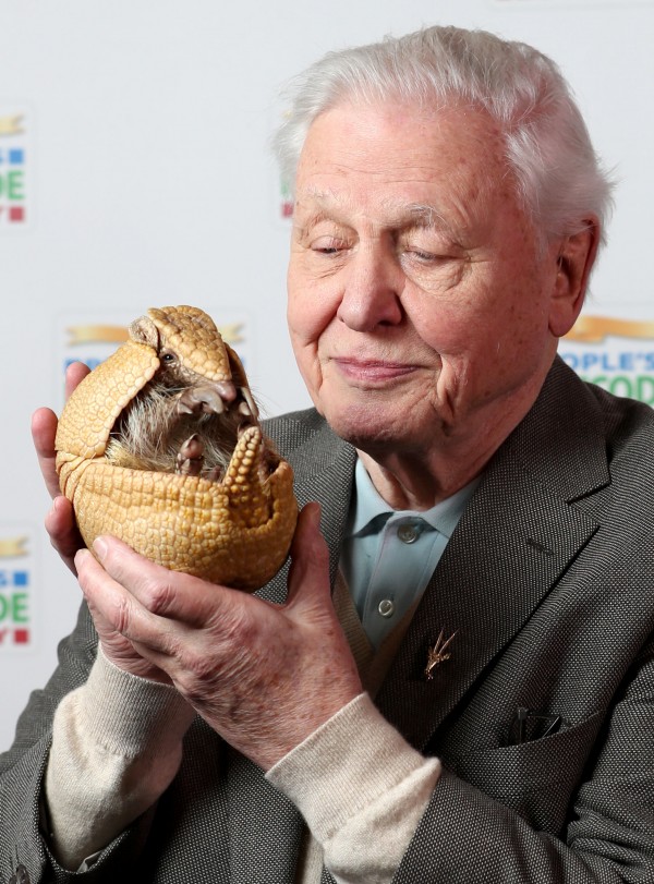 Attenborough