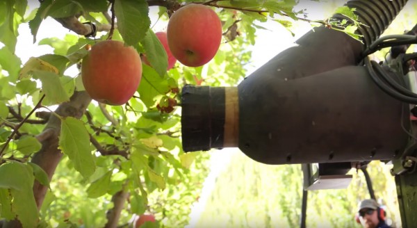 robotic apple picker