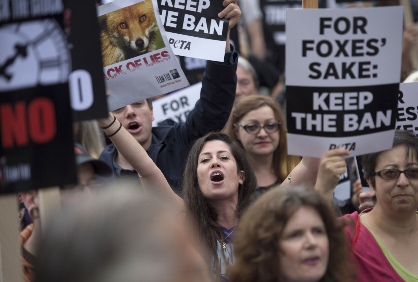 Anti-foxhunting protesters gather outside the Houses of Parliament, London, as a vote to relax the fox-hunting ban in England and Wales has been postponed after the Scottish National Party's decision to take part in the division made defeat almost certain.
