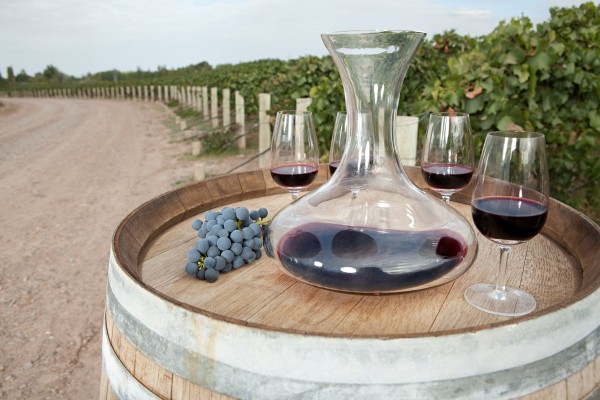 Wine in the Mendoza region of Argentina (Image Source/Getty Images)