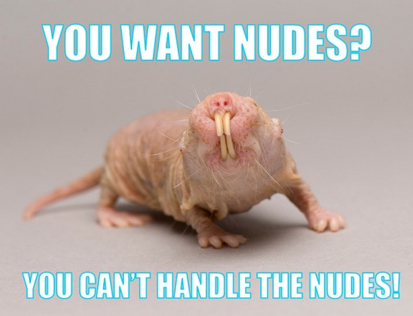 a naked mole rat meme