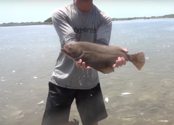 A flounder