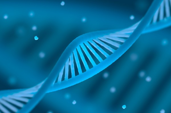 DNA chain.