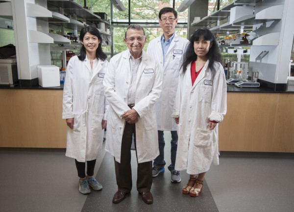 Mostafa El-Sayed, front, led the research on fighting cancer with gold nanorods and near-infrared laser light, with Yue Wu, left, Ronghu Wu, centre and Yan Tang (Christopher Moore/Georgia Tech)