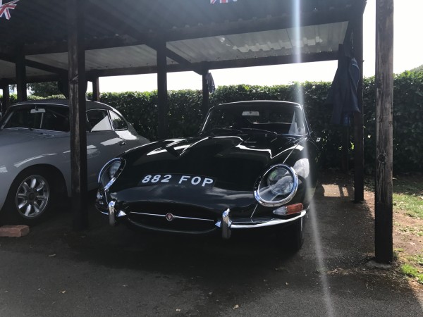 E-Type Paddock T