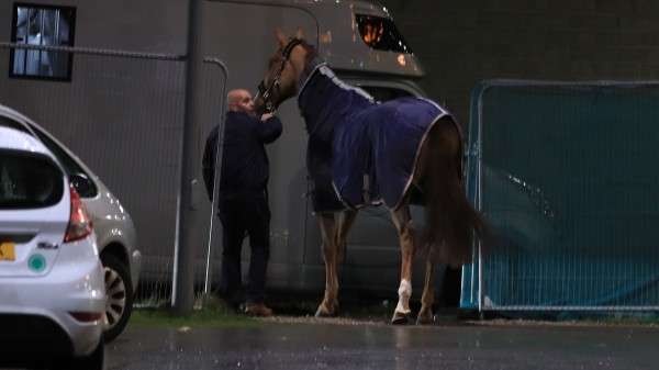 Horses due to take part in the event were led away (PA)